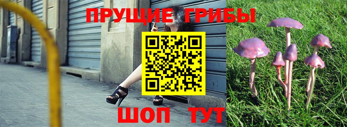 Псилоцибиновые грибы мухоморы Трёхгорный